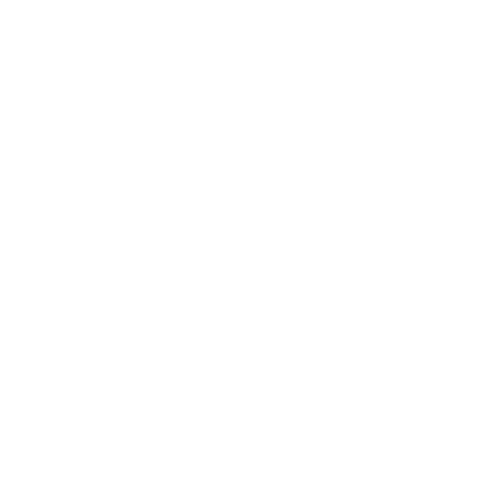 Digital School Nepal brand identity
